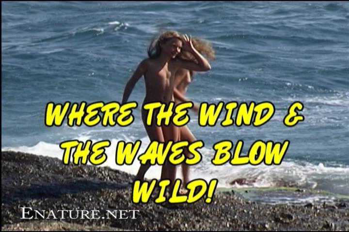 [Image: Enature-Where-the-Wind-and-the-Waves-Blo...Poster.jpg]