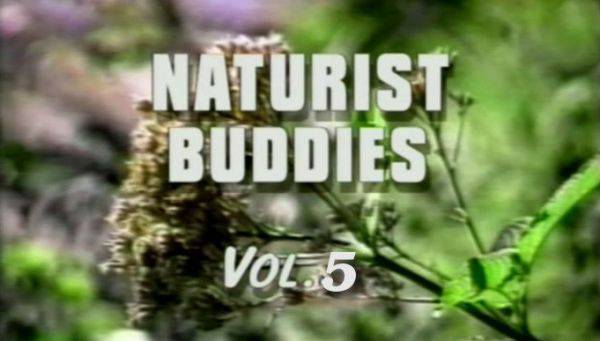 [Image: Naturist-buddies-vol-5-Helios-Natura-Poster.jpg]
